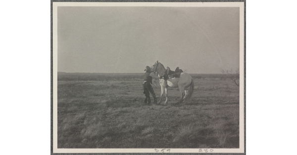 A black-and-white photograph of a cowboy trying to calm a white horse.