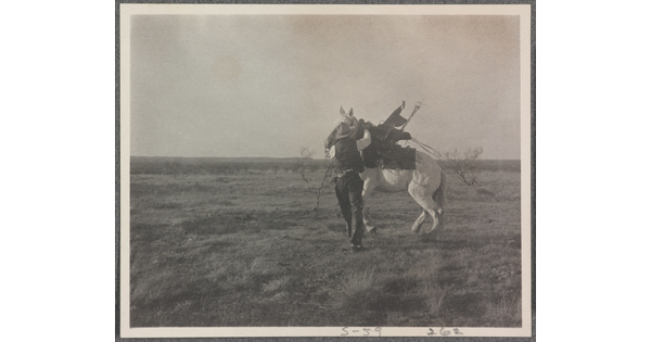 A black-and-white photograph of a cowboy trying to calm a white horse.
