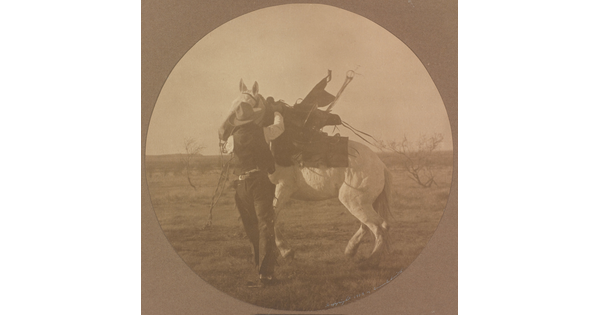 A sepia-toned circular photograph of a cowboy trying to calm a white horse.