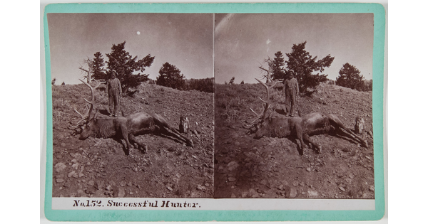 Two almost identical side-by-side black-and-white photographs of a man standing behind a large dead elk laying on the ground.