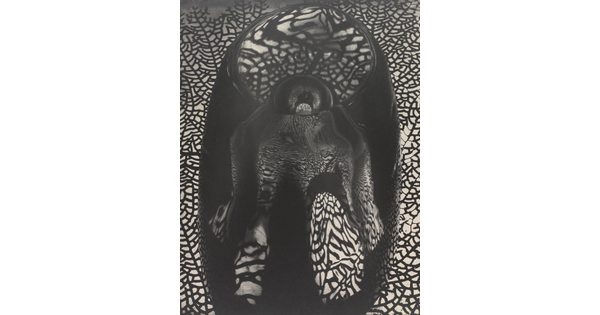 An abstract black-and-white photograph with mirrored reflections of coral like a spider web in an anthropomorphic form.