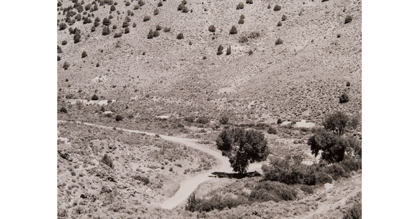 A black-and-white photograph of a dirt road winding through hills covered with small shrubs and trees.