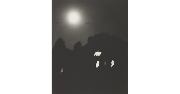 A black-and-white photograph of trees and a dark house with lit windows at night under a full moon.