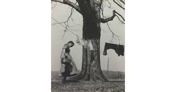 A black-and-white photograph of a White woman in a dress and apron standing next to a large tree with a clothesline and clothes hanging from it.