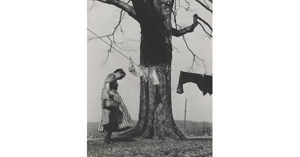 A black-and-white photograph of a White woman in a dress and apron standing next to a large tree with a clothesline and clothes hanging from it.