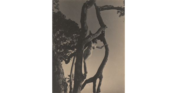 A black-and-white photograph of a nude White woman standing in a tree, one arm outstretched toward a branch.