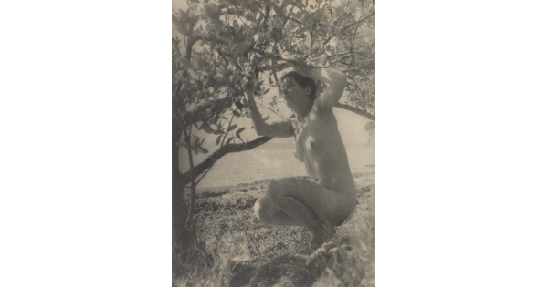 A black-and-white photograph of a nude White woman crouched under a tree with arms raised to grab the branches above her.