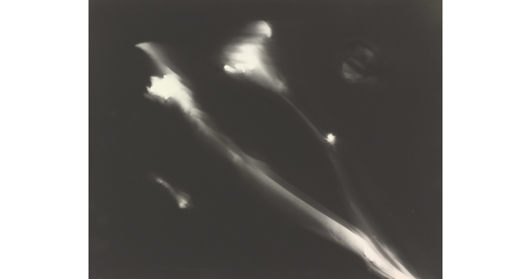 An abstract black-and-white photograph of two blurry, white flower stems against a black background.