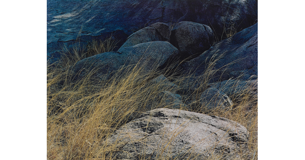 A color photograph of several large weathered stones with tall golden grass growing up between them.