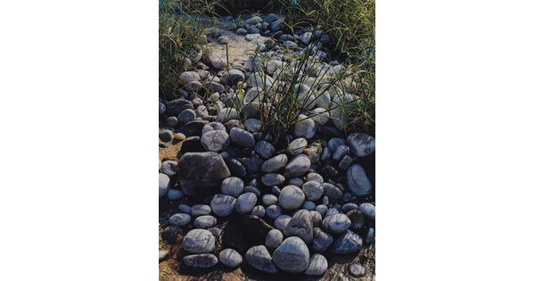 A color photograph of round, smooth stones in various blue-greys among long grass and sand.