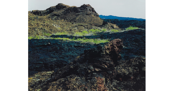 A color photograph of a rocky landscape formed by lava and partially covered in green grass.
