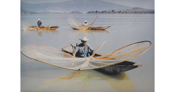 A muted color photograph of men in canoes on a lake holding large, curved nets on wood frames out over the water.