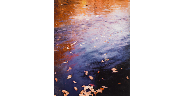 A color photograph of water reflecting autumn trees and with fall-colored leaves floating on top.