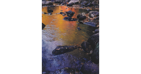 A color photograph of rocks in a stream that reflects the yellow and orange leaves of the trees above.