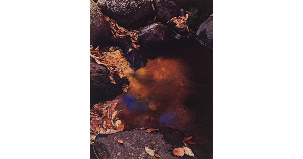 A color photograph of water reflecting skies and shadows surrounded by large stones and patches of brown fall leaves.