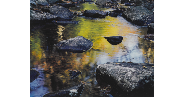 A close-up color photograph of rocks in a stream that reflects the yellow leaves of the trees above.