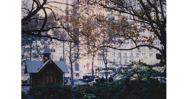 A color photograph of a small house-like structure nestled between trees that are surrounded by skyscrapers.