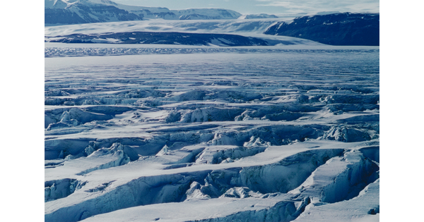 A color photograph of a field of glacial ice with many crevasses and snow-covered mountains on a sunny day.