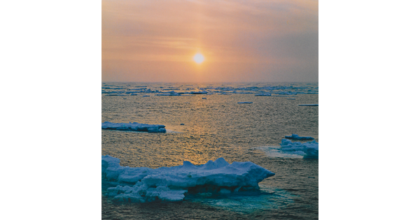 A color photograph of icebergs floating in a calm ocean with the sun shining through a hazy sky.