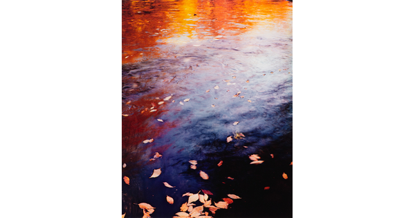 A color photograph of water reflecting autumn trees and with fall-colored leaves floating on top.