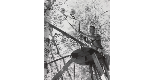A black-and-white photograph of a White man on a ladder setting up lights on a scaffold next to a tree.