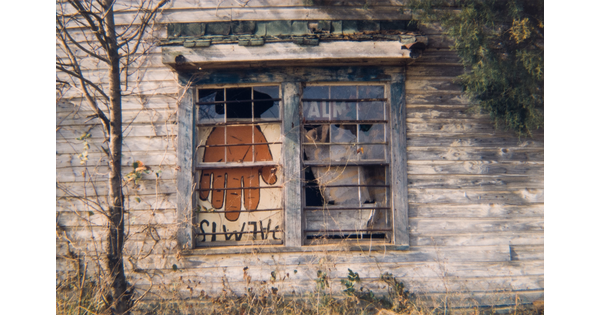 A color photograph of a set of broken windows in a wood building displaying an upside down advertisement for palm reading.