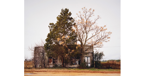 A color photograph of a run-down wood building next to several large trees that look like they are encroaching on it.
