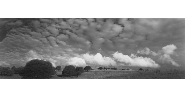 A black-and-white panoramic photograph of puffy white clouds over a field with trees.