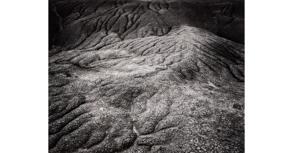 A black-and-white photograph of a snake camouflaged against a rocky surface with curvy fissures.