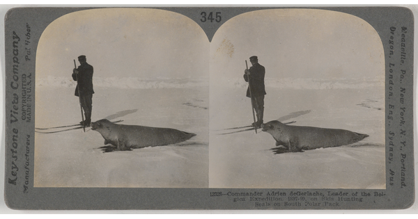 Two almost identical black-and-white photographs side by side of a man standing next to a seal in a snowy landscape.