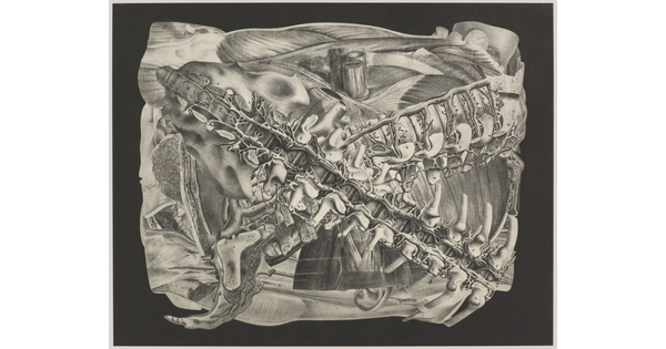 An abstract black-and-white photograph of overlapping bones, vertebrae, and muscle-like structures arranged in a square.