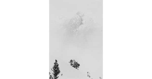 A black-and-white photograph of a snowy mountain peak towering above the tops of some pine trees.