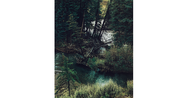 A color photograph of a river or stream running though a pine forest as seen from above.