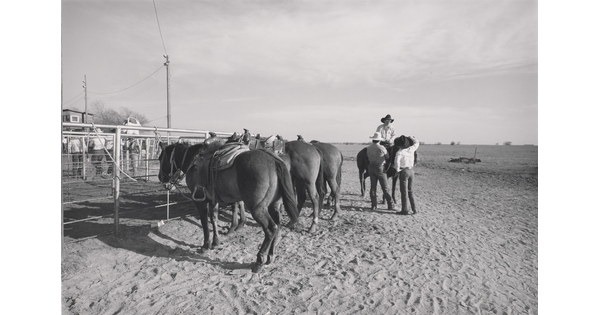A black-and-white photograph of horses tethered to a fence in a dirt yard as two people stand next to a person on horseback in the background.