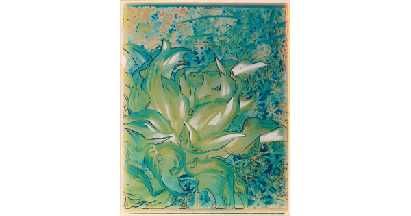 An abstract, color photograph of a plant with large leaves made with a process that gives it a painterly appearance.