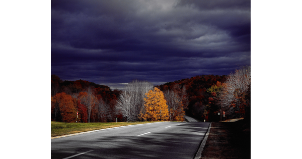 A color photograph of a forest with fall foliage and bare trees beside an asphalt road under a dark stormy sky.
