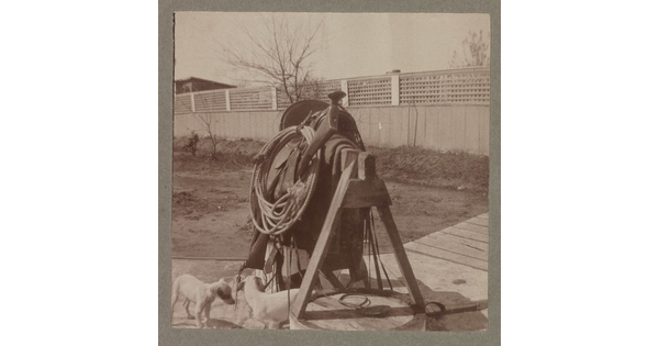 A sepia-toned photograph of the front view of a saddle and rope resting on a wooden sawhorse, with two small dogs standing underneath.