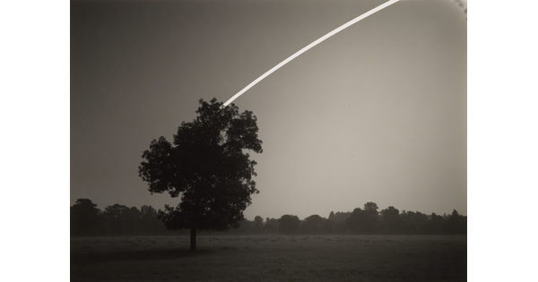 A black-and-white photograph of a tree in a field at night; a white line gently arcs out of the tree to the upper right of the image.