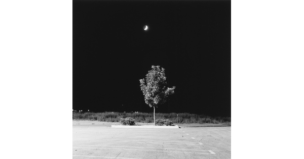 A black-and-white photograph of a lone tree and shrubs in a parking lot island in front of a grassy field under a crescent moon at night.