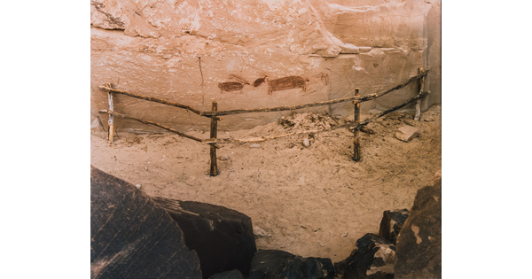 A color photograph of a wood post-and-rail fence blocking a rock wall with animal petroglyphs on it.