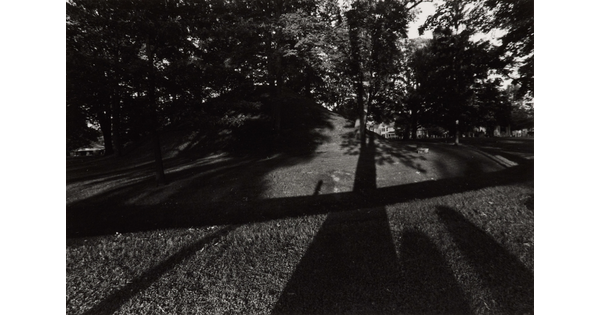 A black-and-white photograph of trees casting long shadows over a grass mound.