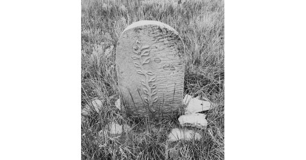 A black-and-white photograph of gravestone with a vine-like relief carving.