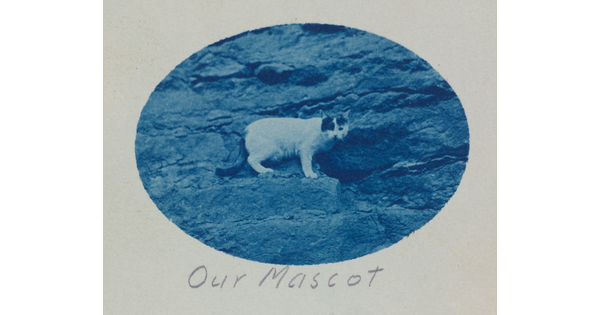 A black-and-white oval photograph of a white-and-black cat standing on a ledge of rocks; the words, "our mascot" under the photo.