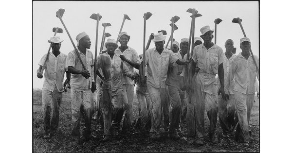 A black-and-white photograph of a group of Black men dressed in white shirts, pants, and hats carrying garden hoes.