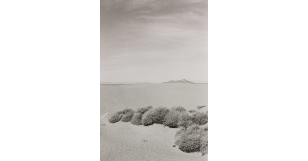 A black-and-white photograph of a desert landscape with scrubby vegetation in the foreground and mountains in the distance.