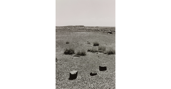 A black-and-white photograph of a desert landscape with sparse vegetation and three rocks in the foreground.