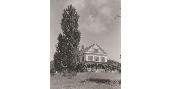 A black-and-white photograph of a three-story farmhouse with a wrap-around porch surrounded by tall grass and a large pine tree.