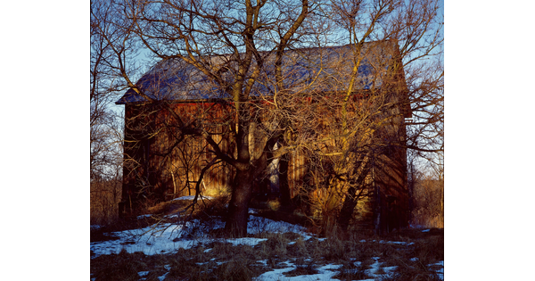 A color photograph of a large, leafless tree in front of a wood barn and snow scattered on the ground.