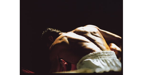 A color photograph of a boxer's back with lighting from above highlighting the contours of his muscles.