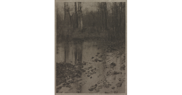 A soft-focused, black-and-white photograph of a muddy pool of water with tall, leafless trees in the background.